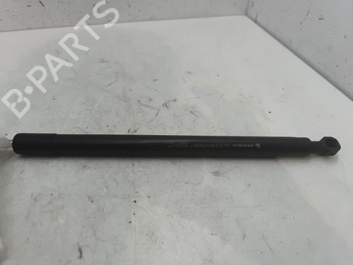 Hood lift support DACIA SANDERO II TCe 90 (B8M1, B8MA, B8AC) | BP27982723C139 
