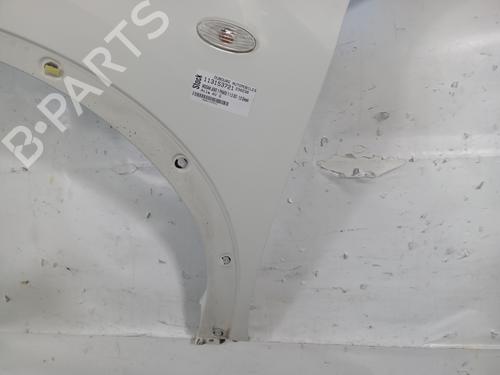 Left front fenders NISSAN JUKE (F15) 1.5 dCi | BP29540916C41 
