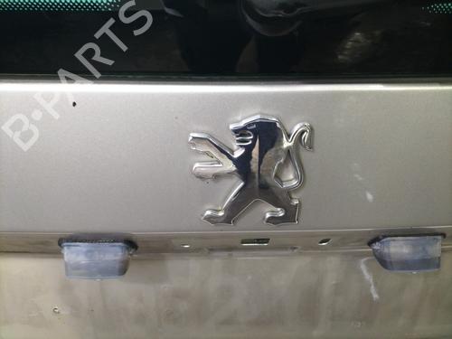 tailgate-peugeot-307-sw-3h-2002-2003-2004-2005-2006-2007-2008-2009-33237899 main image