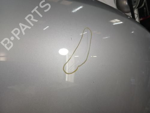 Hood DACIA LODGY (JS_) 1.2 TCe (JSAY, JSM0) | BP30184203C1 