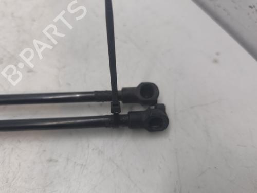Tailgate lift support RENAULT KADJAR (HA_, HL_) 1.6 dCi 130 (HLA4) | BP28064994C138 