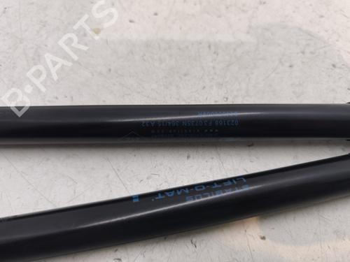 Tailgate lift support RENAULT MEGANE III Grandtour (KZ0/1) 1.6 dCi (KZ00, KZ12, KZ13) | BP29640051C138 