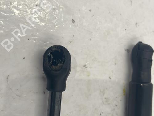 Used Hood lift support RENAULT TRAFIC III Van (FG_) [2014-2025]  25715624