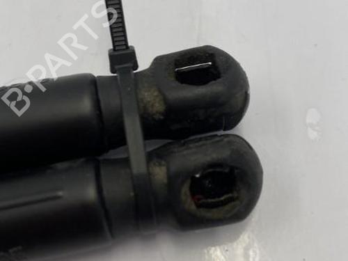Tailgate lift support FORD FIESTA VI (CB1, CCN) 1.25 | BP22832274C138 