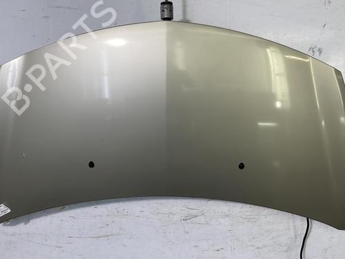 Hood RENAULT CLIO III (BR0/1, CR0/1) 1.5 dCi (C/BR0G, C/BR1G) | BP22843204C1 