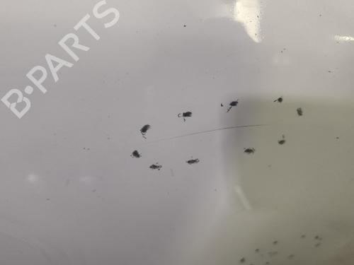 Right front door RENAULT MEGANE III Coupe (DZ0/1_) 1.5 dCi (DZ0C, DZ1A) | BP32313776C3 