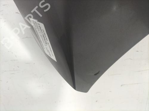 Hood RENAULT SCÉNIC III (JZ0/1_) 1.5 dCi | BP23829220C1 