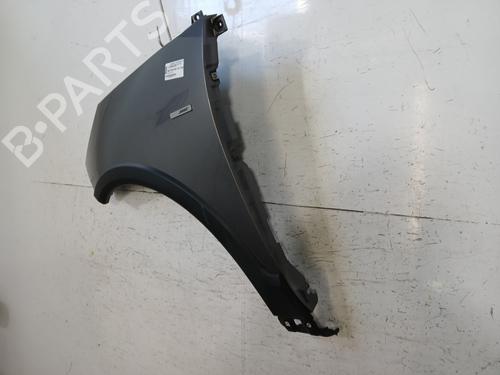 Left front fenders RENAULT SCÉNIC III (JZ0/1_) 1.5 dCi | BP29619315C41 
