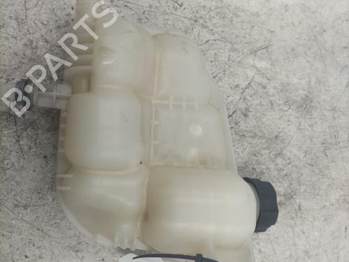 Used Expansion tank BMW X1 (F48) sDrive 18 d (150 hp) 25285303