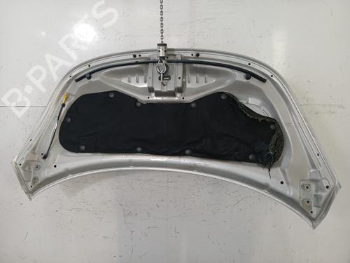 Hood HYUNDAI i10 I (PA) 1.1 CRDi | BP32360088C1 