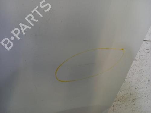 Left front fenders RENAULT MASTER III Van (FV) 2.3 dCi 165 RWD (FV0P, FV0U, FV10, FV12, FV1E) | BP31582254C41 