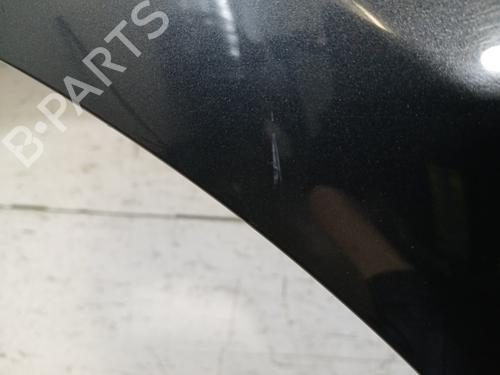 Left front fenders RENAULT CLIO III (BR0/1, CR0/1) 1.5 dCi (C/BR0G, C/BR1G) | BP29619343C41 