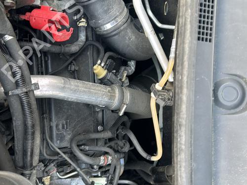 Used Gearbox RENAULT MASTER III Van (FV) 2.3 dCi 125 FWD (FV0C, FV0D, FV0G, FV0H, FV0J, FV0K,... (125 hp) 31025045