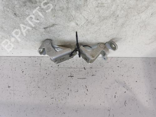 Hinge/Door check strap RENAULT SCÉNIC IV (J9_) 1.6 dCi 160 | BP28731321C146 