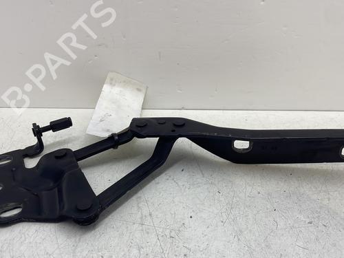 Hinge/Door check strap AUDI R8 (422, 423) 5.2 FSI quattro | BP30123846C146