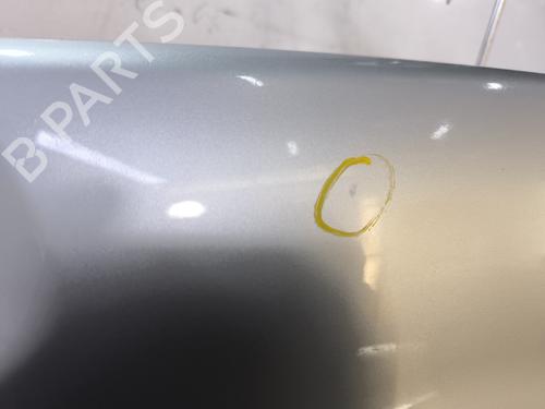 Forskærm venstre DACIA SANDERO 1.5 dCi | BP31948060C41 