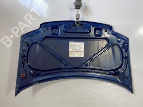 Hood FIAT PANDA (169_) 1.2 (169.AXB11, 169.AXB1A) | BP29561929C1 