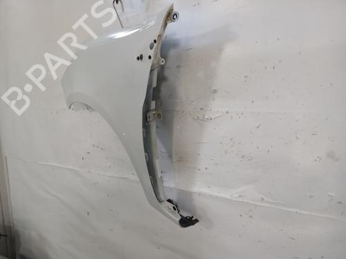 Left front fenders RENAULT CLIO III (BR0/1, CR0/1) 1.5 dCi | BP29540970C41 