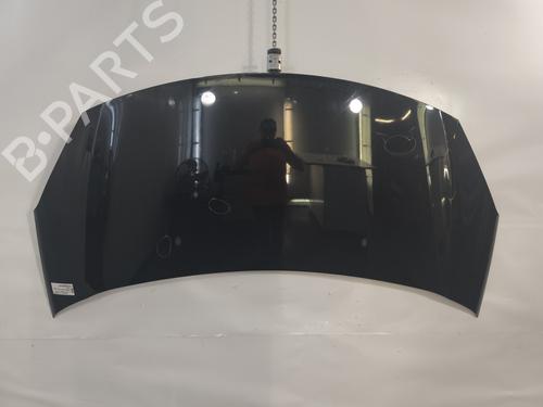 Used Hood CITROËN C3 II (SC_) 1.6 HDi (92 hp) 29054635