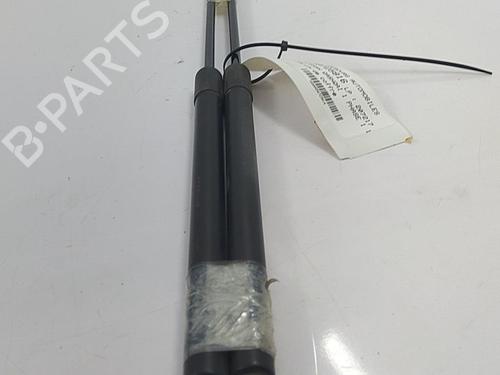 Tailgate lift support NISSAN QASHQAI / QASHQAI +2 I (J10, NJ10, JJ10E) 1.5 dCi | BP22820037C138 