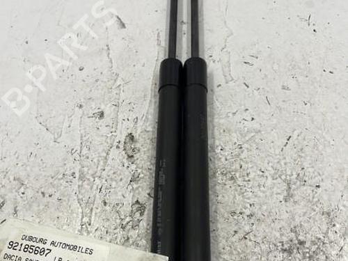 Tailgate lift support DACIA SANDERO II TCe 90 (B8M1, B8MA, B8AC) | BP22840514C138 