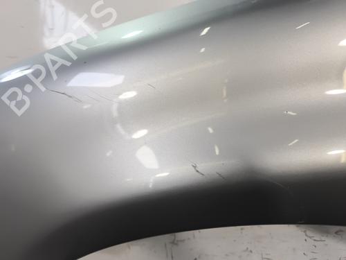 Left front fenders PEUGEOT 206 Hatchback (2A/C) 2.0 HDI 90 | BP30114291C41