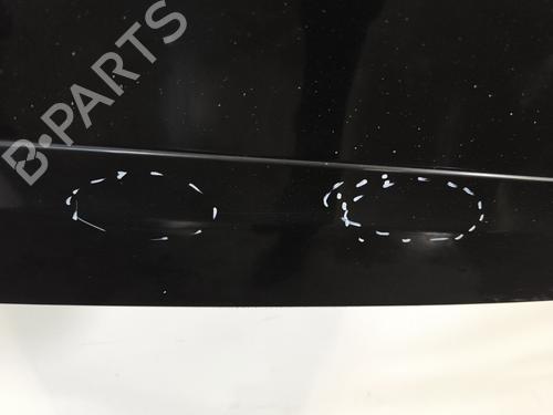 Right front door RENAULT SCÉNIC III (JZ0/1_) 1.5 dCi | BP29261151C3 