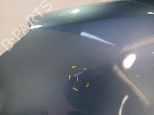 Left front fenders RENAULT CLIO III Grandtour (KR0/1_) 1.5 dCi | BP29540978C41 