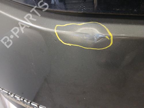 Tailgate NISSAN PATHFINDER III (R51) 2.5 dCi 4WD | BP30445881C6 