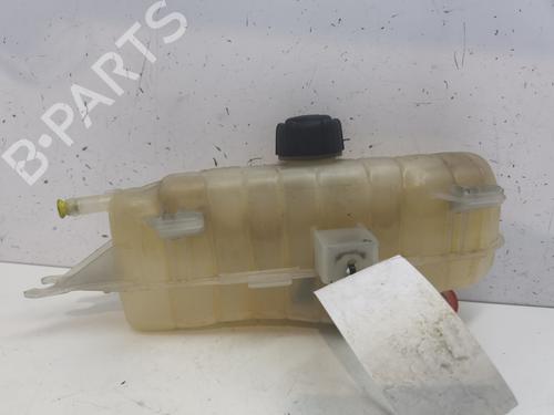 Expansion tank RENAULT CLIO III (BR0/1, CR0/1) 1.2 16V (BR02, BR0J, BR11, CR02, CR0J, CR11) | BP26148303C120 