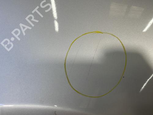 Right front fenders RENAULT CLIO III (BR0/1, CR0/1) 1.5 dCi (BR17, CR17) | BP24799171C42 