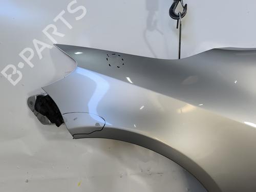 Left front fenders VW GOLF PLUS V (5M1, 521) 1.9 TDI | BP29213402C41 