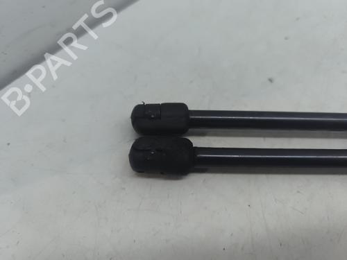 Tailgate lift support RENAULT KANGOO Express (FC0/1_) 1.5 dCi | BP32228327C138