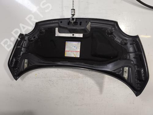 Hood FIAT 500 (312_) 0.9 (312AXG1A, 312.AXG11) | BP25147011C1