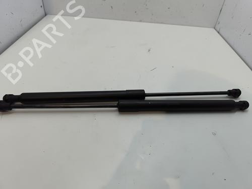 Used Tailgate lift support RENAULT ZOE (BFM_) ZOE (BFMC, BFMD) (136 hp) 25899542