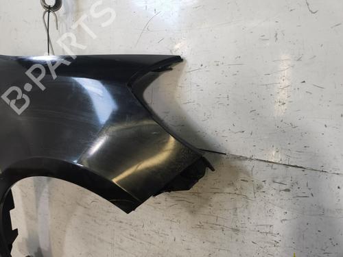 Right front fenders RENAULT CLIO III (BR0/1, CR0/1) 1.2 16V (BR02, BR0J, BR11, CR02, CR0J, CR11) | BP29869199C42