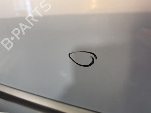 Left front door RENAULT MEGANE II (BM0/1_, CM0/1_) 1.6 16V (BM0C, CM0C) | BP29165449C2 