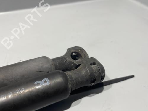 Used Hood lift support RENAULT KANGOO / GRAND KANGOO II (KW0/1_) 1.5 dCi 90 (KW05, KW08, KW0G, KW11) (90 hp) 29438620