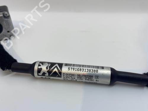 Used Camera Camera PEUGEOT 308 II (LB_, LP_, LW_, LH_, L3_) 1.6 GTi (L35GNH) (272 hp) 28824162 28824162