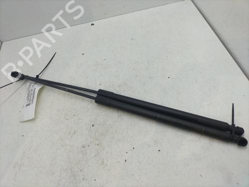 Used Tailgate lift support RENAULT KOLEOS II (HC_) 1.6 dCi 130 (130 hp) 31581756