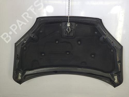 Hood FORD FOCUS II Convertible 2.0 TDCi | BP22822701C1 