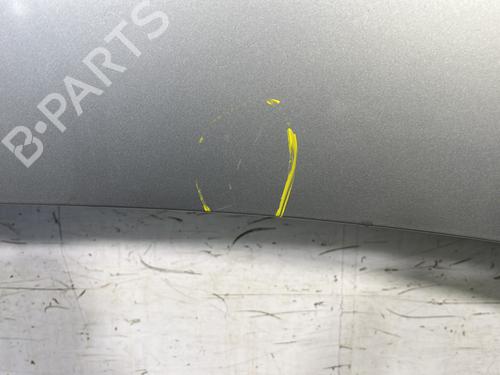 Hood RENAULT SCÉNIC III (JZ0/1_) 1.9 dCi (JZ0J, JZ1J, JZ1K, JZ1S) | BP24227676C1