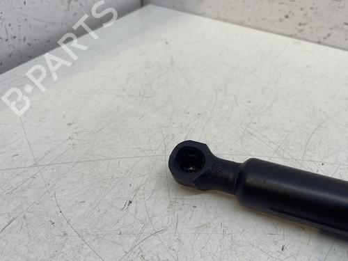 Tailgate lift support RENAULT CLIO IV (BH_) 1.5 dCi 110 | BP28709617C138