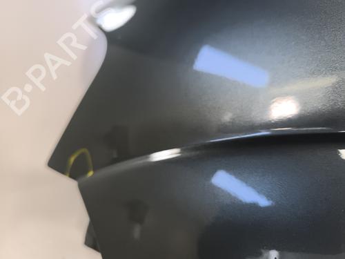 Left front fenders CITROËN C3 I (FC_, FN_) 1.4 HDi | BP29213390C41 