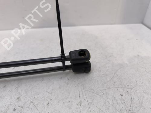 Tailgate lift support PEUGEOT 3008 I MPV (0U_) 1.6 HDi | BP30184417C138