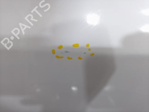 Used Left front door Left front door RENAULT CLIO III (BR0/1, CR0/1) 1.5 dCi (75 hp) 40516117 40516117