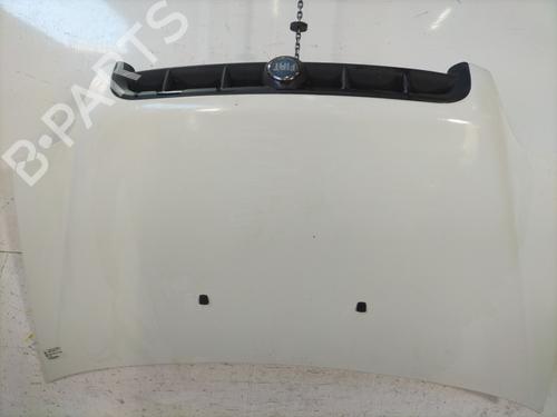 Used Hood FIAT DOBLO Box Body/MPV (223_) 1.3 JTD 16V (70 hp) 30451006