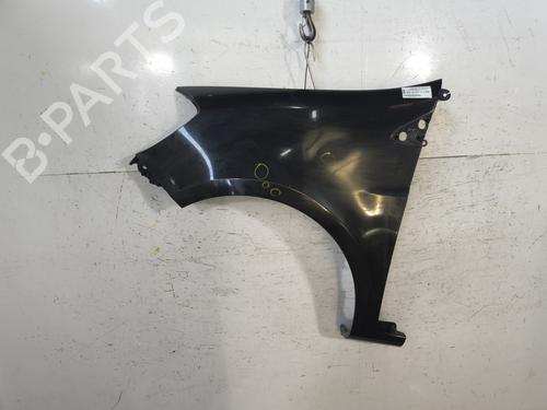 Used Left front fenders RENAULT CLIO III (BR0/1, CR0/1) 1.2 16V (BR02, BR0J, BR11, CR02, CR0J, CR11) (75 hp) 29869200