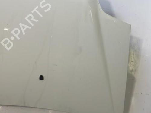 Hood FIAT DOBLO Box Body/MPV (223_) 1.3 JTD 16V | BP22841159C1 