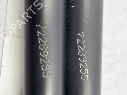 Tailgate lift support RENAULT CLIO IV (BH_) 1.5 dCi 90 | BP22827219C138 